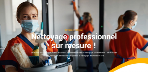 https://www.nettoyage-multi-services.fr